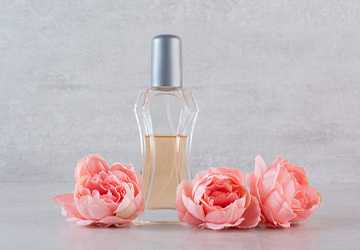 Top 10 Fragrances for a Signature Scent