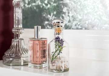 Top 10 Fragrances for a Signature Scent