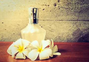 Top 10 Fragrances for a Signature Scent